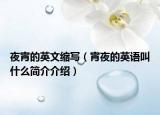 夜宵的英文缩写（宵夜的英语叫什么简介介绍）