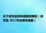 关于胡雪岩的电视剧有哪些（胡雪岩 2017年拍摄电视剧）