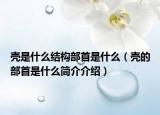 壳是什么结构部首是什么（壳的部首是什么简介介绍）