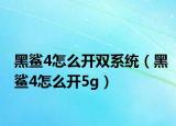 黑鲨4怎么开双系统（黑鲨4怎么开5g）