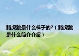 豁虎跳是什么样子的?（豁虎跳是什么简介介绍）