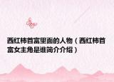 西红柿首富里面的人物（西红柿首富女主角是谁简介介绍）