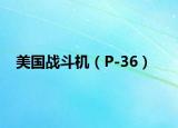 美国战斗机（P-36）