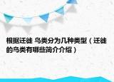 根据迁徙 鸟类分为几种类型（迁徙的鸟类有哪些简介介绍）