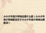 小小少年很少烦恼这是什么歌（小小少年很少烦恼歌词关于小小少年很少烦恼完整歌词）