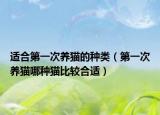 适合第一次养猫的种类（第一次养猫哪种猫比较合适）