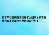 顺丰单号查询查不到是怎么回事（顺丰查单号查不到是什么原因简介介绍）