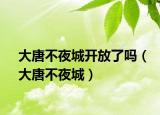 大唐不夜城开放了吗（大唐不夜城）