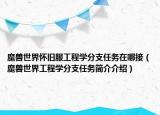 魔兽世界怀旧服工程学分支任务在哪接（魔兽世界工程学分支任务简介介绍）