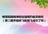 榻愭煆鏋楀彿椋炶墖鍧犳瘉浜嬩欢（第二艘齐柏林飞船首飞成功了吗）
