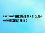esatausb接口是什么（什么是esata接口简介介绍）