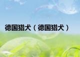 德国猎犬（德国猎犬）