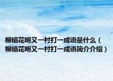 柳暗花明又一村打一成语是什么（柳暗花明又一村打一成语简介介绍）