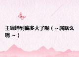 王啸坤到底多大了呢（～属啥么呢 ～）
