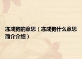 冻成狗的意思（冻成狗什么意思简介介绍）