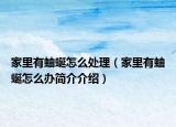 家里有蚰蜒怎么处理（家里有蚰蜒怎么办简介介绍）