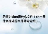 后缀为chm是什么文件（chm是什么格式的文件简介介绍）