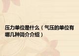 压力单位是什么（气压的单位有哪几种简介介绍）