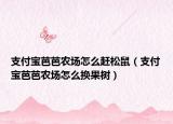 支付宝芭芭农场怎么赶松鼠（支付宝芭芭农场怎么换果树）