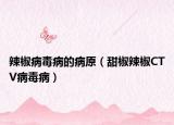 辣椒病毒病的病原（甜椒辣椒CTV病毒病）