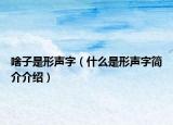 啥子是形声字（什么是形声字简介介绍）