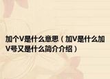 加个V是什么意思（加V是什么加V号又是什么简介介绍）