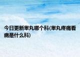 今日更新睾丸哪个科(睾丸疼痛看病是什么科)
