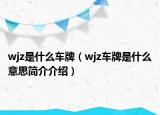 wjz是什么车牌（wjz车牌是什么意思简介介绍）