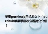 苹果purnhurb手机怎么上（purnhub苹果手机怎么看简介介绍）
