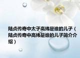 陆贞传奇中太子高纬是谁的儿子（陆贞传奇中高纬是谁的儿子简介介绍）