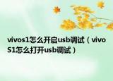 vivos1怎么开启usb调试（vivoS1怎么打开usb调试）