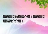 隋唐演义的剧情介绍（隋唐演义剧情简介介绍）
