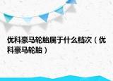 优科豪马轮胎属于什么档次（优科豪马轮胎）