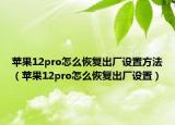 苹果12pro怎么恢复出厂设置方法（苹果12pro怎么恢复出厂设置）