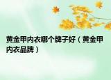 黄金甲内衣哪个牌子好（黄金甲 内衣品牌）