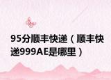 95分顺丰快递（顺丰快递999AE是哪里）