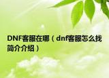 DNF客服在哪（dnf客服怎么找简介介绍）
