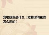 宠物胶囊是什么（宠物时间胶囊怎么用的）