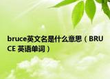 bruce英文名是什么意思（BRUCE 英语单词）