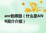 anr的原因（什么是ANR简介介绍）