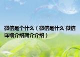 微信是个什么（微信是什么 微信详细介绍简介介绍）