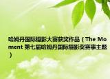 哈姆丹国际摄影大赛获奖作品（The Moment 第七届哈姆丹国际摄影奖赛事主题）