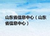山东省信息中心（山东省信息中心）