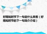 好雨知时节下一句是什么来着（好雨知时节的下一句简介介绍）