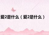 爱2是什么（爱2是什么）
