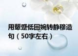 用颦蹙低回婉转静穆造句（50字左右）