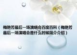 梅艳芳最后一场演唱会百度百科（梅艳芳最后一场演唱会是什么时候简介介绍）
