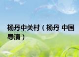 杨丹中关村（杨丹 中国导演）