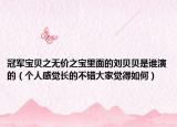 冠军宝贝之无价之宝里面的刘贝贝是谁演的（个人感觉长的不错大家觉得如何）