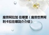 魔兽阿拉加 在哪里（魔兽世界阿利卡拉在哪简介介绍）